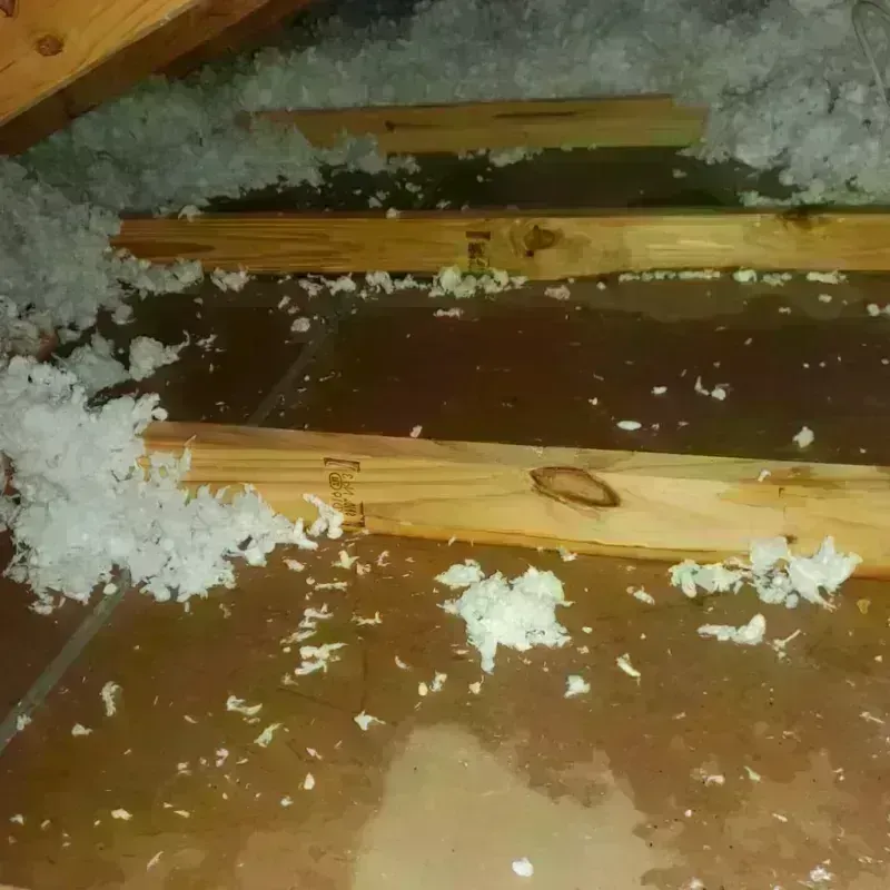 Attic Water Damage in Rhinelander, WI