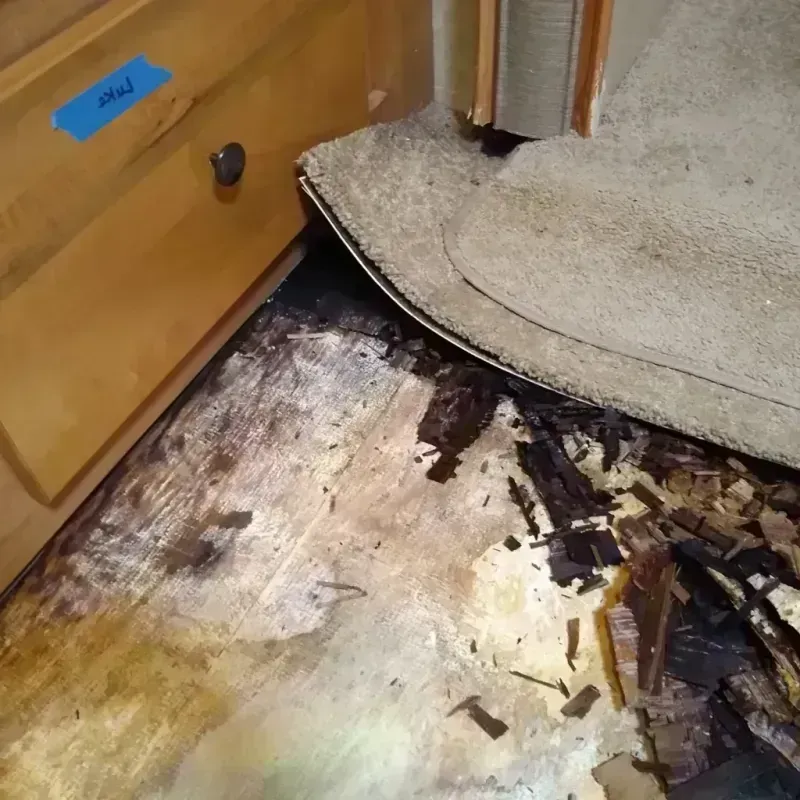 Best Wood Floor Water Damage Service in Rhinelander, WI